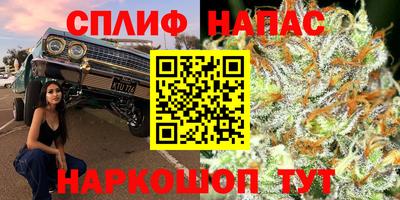 индика Пыть-Ях