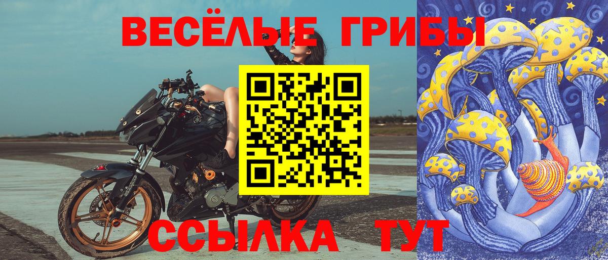 Псилоцибиновые грибы Psilocybe Обь