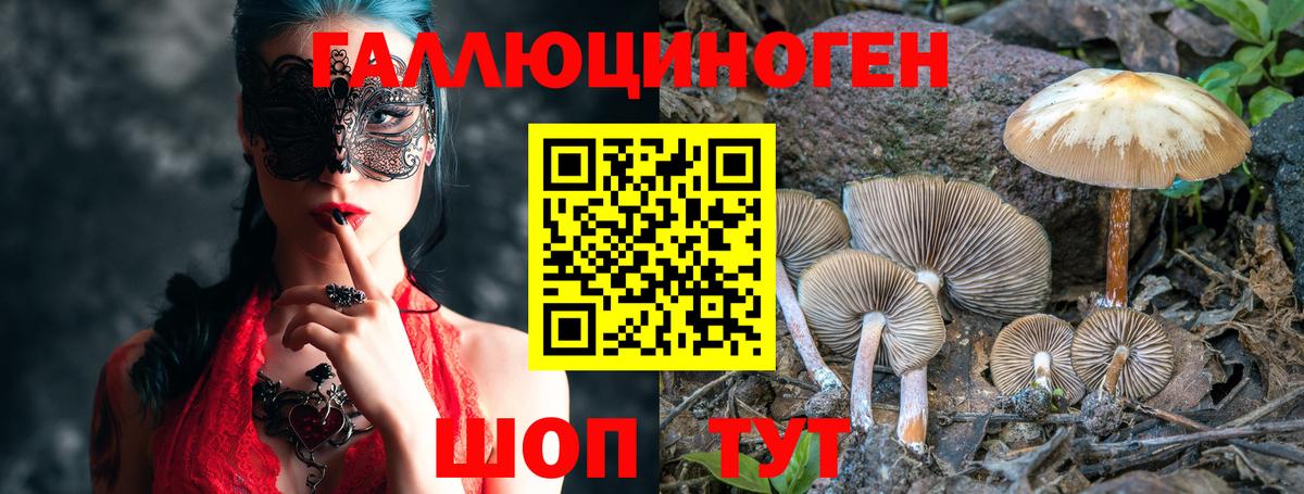 Псилоцибиновые грибы ЛСД  Псилоцибиновые грибы GOLDEN TEACHER  Вход с VPN  Обь 